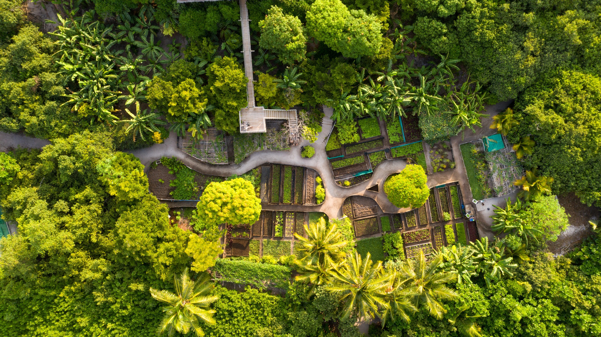 Soneva Fushi – Organic Gardens