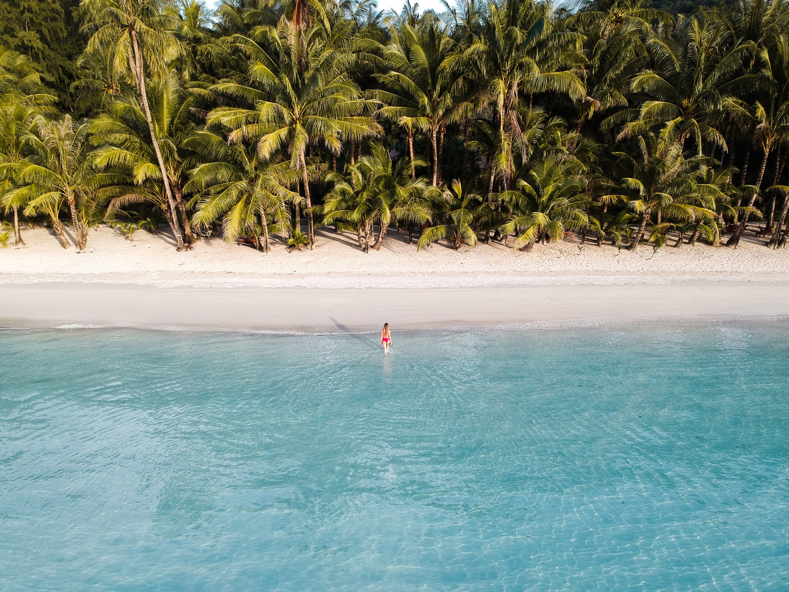 DCIM/103MEDIA/DJI_0077.JPG